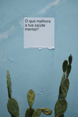 INSTITUTO