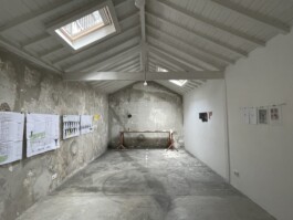 INSTITUTO